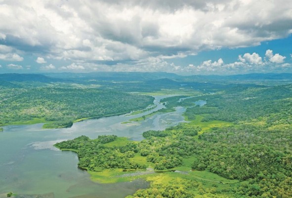 Panamá se ve afectado por la sequía y el fenómeno de El Niño. Panamá se ve afectado por la sequía y el fenómeno de El Niño.