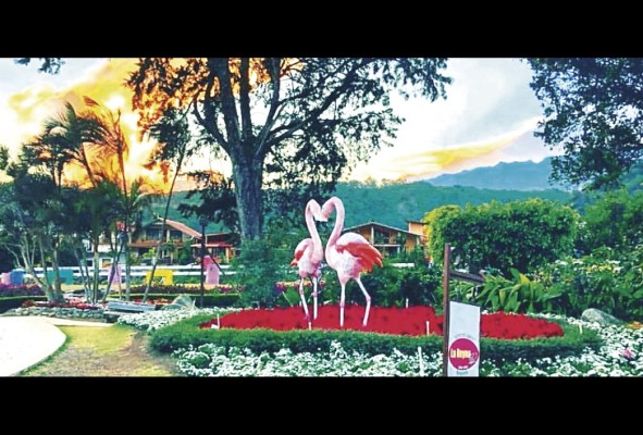 Entre otras, la Feria de las Flores y el Café, en Boquete, fue aprobada. Entre otras, la Feria de las Flores y el Café, en Boquete, fue aprobada.