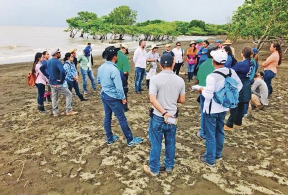 El estudio arrojó que los manglares de la bahía de Parita son ecosistemas altamente resilientes. El estudio arrojó que los manglares de la bahía de Parita son ecosistemas altamente resilientes.