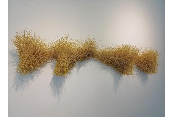 Inspirado en la naturaleza y al servicio de la conservación Inspirado en la naturaleza y al servicio de la conservación