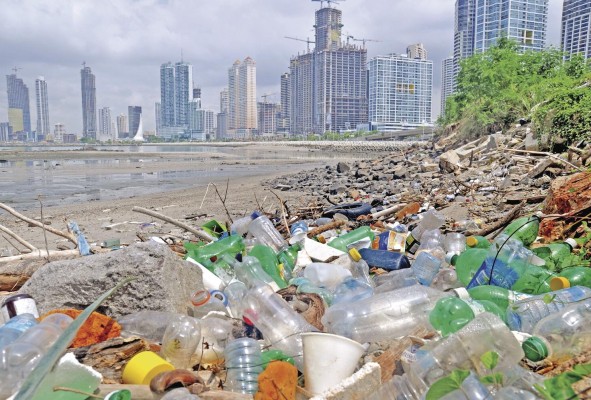 Los microplásticos, el nuevo hogar de los microbios en el Caribe Los microplásticos, el nuevo hogar de los microbios en el Caribe