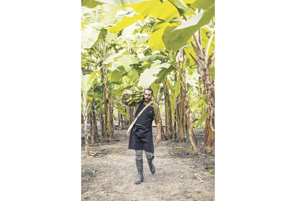 Rodrigo Pacheco, el chef que engalana a la naturaleza Rodrigo Pacheco, el chef que engalana a la naturaleza