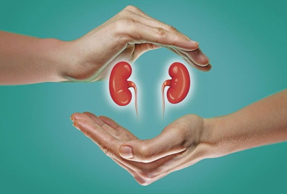 El golpe de calor provoca una lesión renal aguda, con fiebres, leucocitosis y leucocituria. El golpe de calor provoca una lesión renal aguda, con fiebres, leucocitosis y leucocituria.