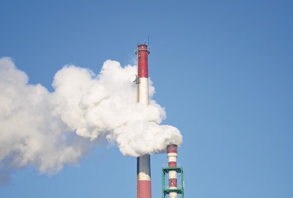 Para la lucha contra el cambio climático las empresas deberán implementar políticas ecosostenibles. Para la lucha contra el cambio climático las empresas deberán implementar políticas ecosostenibles.
