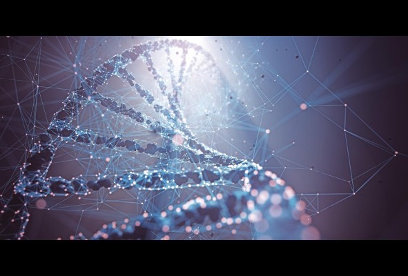 La fisiología es el estudio de la función normal dentro de las criaturas vivientes. Es una disciplina de la biología, que cubre una gama de temas que incluyen órganos, anatomía, células, compuestos biológicos, y cómo todos ellos interactúan para hacer posible la vida. La fisiología es el estudio de la función normal dentro de las criaturas vivientes. Es una disciplina de la biología, que cubre una gama de temas que incluyen órganos, anatomía, células, compuestos biológicos, y cómo todos ellos interactúan para hacer posible la vida.