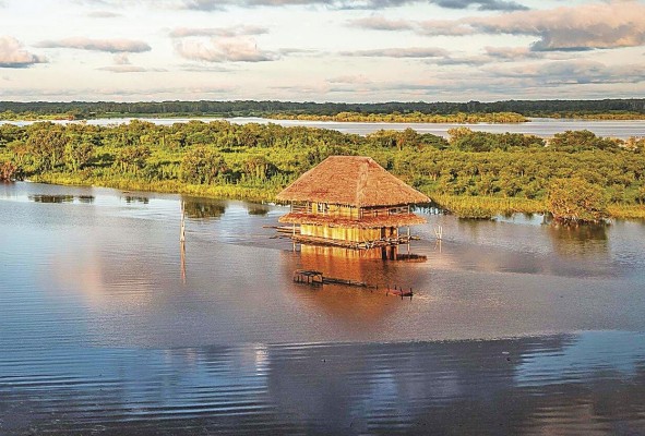 En Loreto conocerá tierras llenas de bosques, animales exóticos, pueblos originarios y más. En Loreto conocerá tierras llenas de bosques, animales exóticos, pueblos originarios y más.