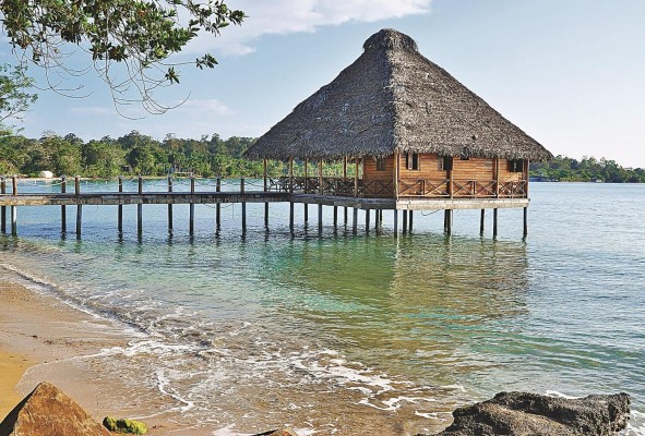 Durante una gira en la provincia, la ATP evaluó el estado de los senderos pertenecientes al distrito de Bocas del Toro para sumarlos al proyecto de 1,000 km de senderos que se ejecuta junto a MiAmbiente. Durante una gira en la provincia, la ATP evaluó el estado de los senderos pertenecientes al distrito de Bocas del Toro para sumarlos al proyecto de 1,000 km de senderos que se ejecuta junto a MiAmbiente.