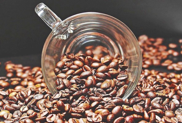 Panamá ha estado exportando café de especialidad desde hace 20 años. Panamá ha estado exportando café de especialidad desde hace 20 años.