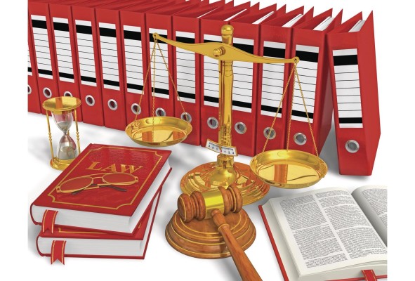 La leyes deben garantizar la igualdad para todos los actores. La leyes deben garantizar la igualdad para todos los actores.