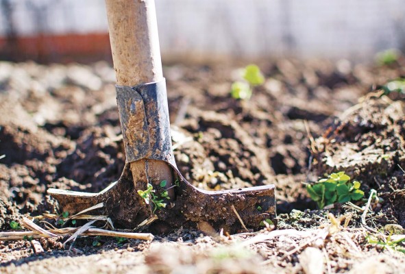 Las mejoras al utilizar en el agro conocimiento basado en evidencias científicas traen como consecuencia las adaptaciones de cultivos de acuerdo con necesidades específicas de cantidad de agua. Las mejoras al utilizar en el agro conocimiento basado en evidencias científicas traen como consecuencia las adaptaciones de cultivos de acuerdo con necesidades específicas de cantidad de agua.