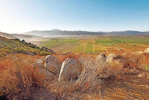 El Valle del Guadalupe, justo al noreste de Ensenada, está a la vanguardia del movimiento del vino Baja y cuenta con más de 125 bodegas que producen algunos vinos notables. El Valle del Guadalupe, justo al noreste de Ensenada, está a la vanguardia del movimiento del vino Baja y cuenta con más de 125 bodegas que producen algunos vinos notables.