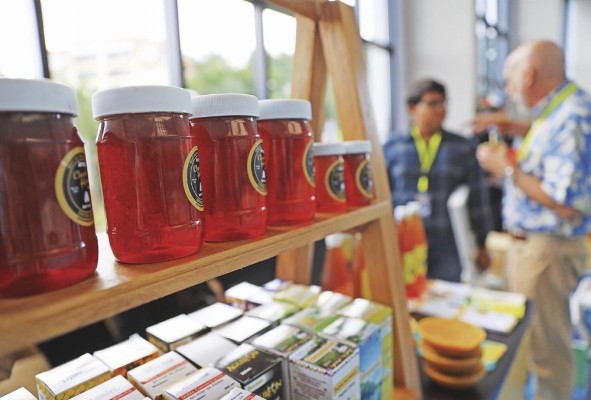 La producción anual es de 60.000 galones de miel, con un valor de $3,5 millones en el mercado. La producción anual es de 60.000 galones de miel, con un valor de $3,5 millones en el mercado.