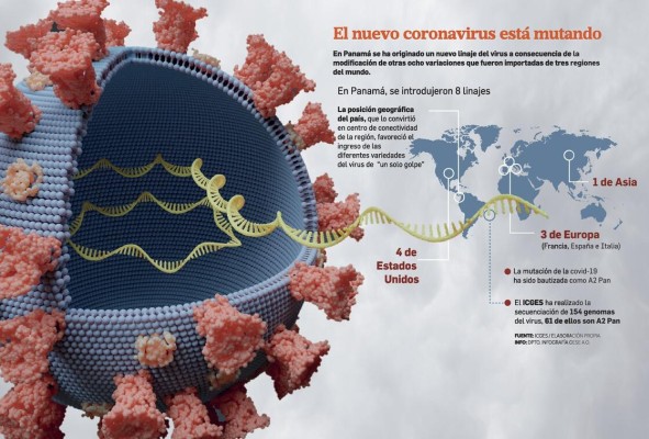 Icges: 'Mutación del A2 PAN tiene mayor capacidad de contagio' Icges: 'Mutación del A2 PAN tiene mayor capacidad de contagio'
