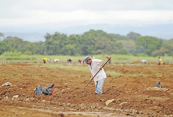 El Niño se asocia a un incremento en la temperatura del aire y disminución de la humedad relativa. El Niño se asocia a un incremento en la temperatura del aire y disminución de la humedad relativa.