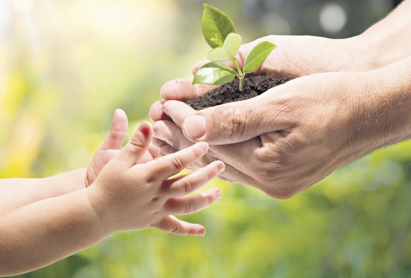 La forestación, un tema de conciencia ambiental La forestación, un tema de conciencia ambiental