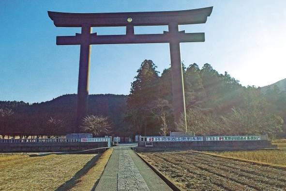 Torii del Okyunohara Torii del Okyunohara