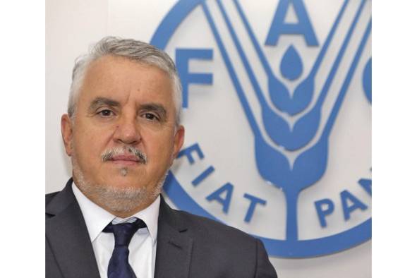 FAO: 'Habrá dos años de incertidumbre y elevación de precios y alimentos' FAO: 'Habrá dos años de incertidumbre y elevación de precios y alimentos'