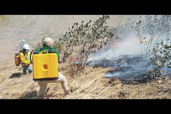 En Panamá se vienen realizando varias campañas de prevención sobre los incendios forestales. En Panamá se vienen realizando varias campañas de prevención sobre los incendios forestales.