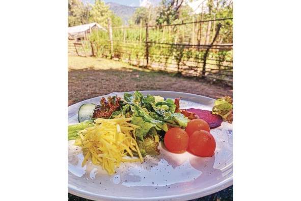 La comida kilómetro cero e cuando se obtiene a menos de 100 km de la cosecha. La comida kilómetro cero e cuando se obtiene a menos de 100 km de la cosecha.