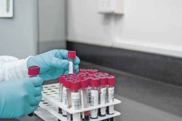 La Eltrombopag Olamina será recomendada para los pacientes con enfermedades en la sangre La Eltrombopag Olamina será recomendada para los pacientes con enfermedades en la sangre