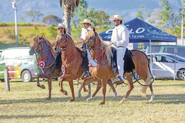 Del 26 al 28 de enero de 2023 se realizó en Panamá el Cuadragésimo Segundo (XLII) Concurso Nacional del Caballo de Paso Peruano. Del 26 al 28 de enero de 2023 se realizó en Panamá el Cuadragésimo Segundo (XLII) Concurso Nacional del Caballo de Paso Peruano.