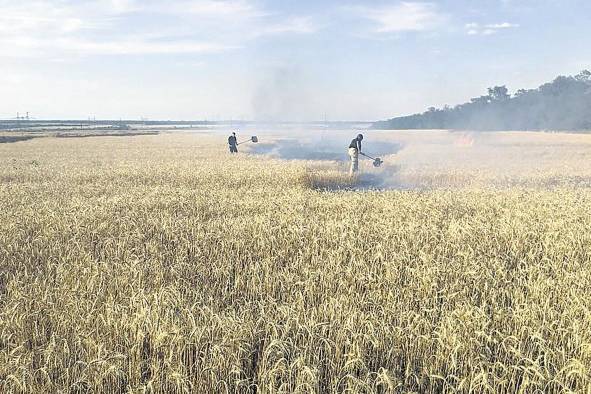 Rescatistas ucranianos apagan un incendio en un campo de trigo en el área de Donetsk. Rescatistas ucranianos apagan un incendio en un campo de trigo en el área de Donetsk.