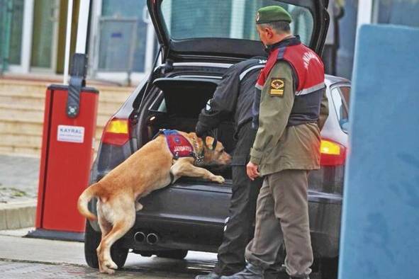 Mario Chan dirige Servican Panamá donde se brindan servicios de perros protectores. Mario Chan dirige Servican Panamá donde se brindan servicios de perros protectores.