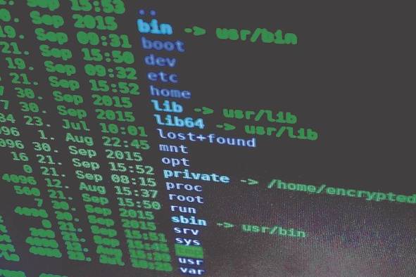 Incidentes de fraude aumentaron un 47% en 2019, según encuesta Incidentes de fraude aumentaron un 47% en 2019, según encuesta