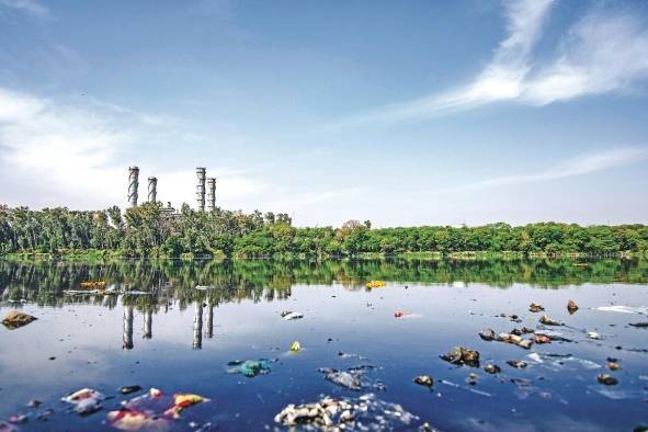 El camino del emprendimiento con un impacto ambiental positivo El camino del emprendimiento con un impacto ambiental positivo