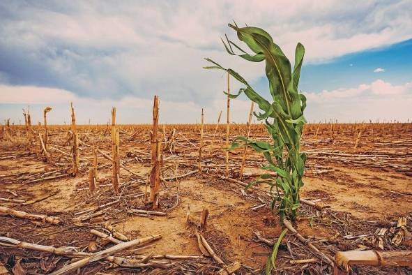 Este sexto ciclo resalta que los riesgos asociados al cambio climático se incrementarán y se harán más complejos de gestionar en la medida en que superemos el umbral de 1.5° C. Este sexto ciclo resalta que los riesgos asociados al cambio climático se incrementarán y se harán más complejos de gestionar en la medida en que superemos el umbral de 1.5° C.