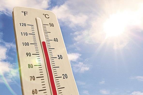 Es necesario el compromiso de las empresas y gobiernos para combatir el estrés térmico y el calor. Es necesario el compromiso de las empresas y gobiernos para combatir el estrés térmico y el calor.