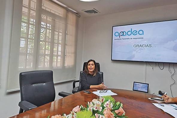 La presidenta de Apadea, Gina Herrero, en conferencia de prensa. La presidenta de Apadea, Gina Herrero, en conferencia de prensa.