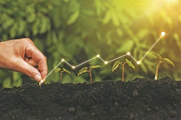 Según el Pnuma, la economía verde es “aquella que da lugar al mejoramiento del bienestar humano e igualdad social, mientras que se reducen significativamente los riesgos medioambientales y a la escasez ecológica”. Según el Pnuma, la economía verde es “aquella que da lugar al mejoramiento del bienestar humano e igualdad social, mientras que se reducen significativamente los riesgos medioambientales y a la escasez ecológica”.