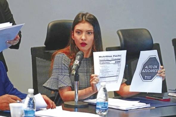 La diputada suplente Yaidelis González, durante el prohijamiento del proyecto de ley 265. La diputada suplente Yaidelis González, durante el prohijamiento del proyecto de ley 265.