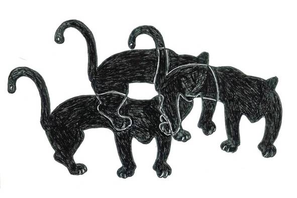 De noche todos los gatos son iguales De noche todos los gatos son iguales