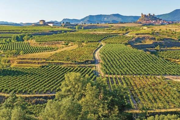 San Vicente de la Sonsierra, el corazón de la Rioja Alta. San Vicente de la Sonsierra, el corazón de la Rioja Alta.