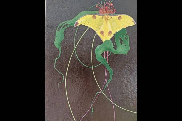 Kenia Araya, los colores de una artista inspirada en la naturaleza Kenia Araya, los colores de una artista inspirada en la naturaleza