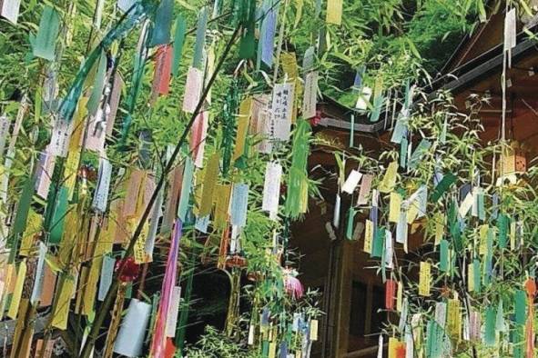 En tanabata, la costumbre consiste en colgar papeles de colores con sus deseos escritos en ramas de bambú que representan árboles. En tanabata, la costumbre consiste en colgar papeles de colores con sus deseos escritos en ramas de bambú que representan árboles.