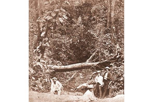 La Expedición de Darién La Expedición de Darién