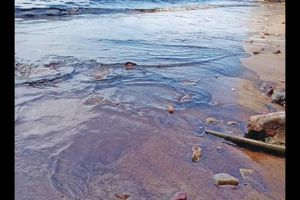 Naves contaminan con desechos los mares y costas de la isla de Taboga Naves contaminan con desechos los mares y costas de la isla de Taboga