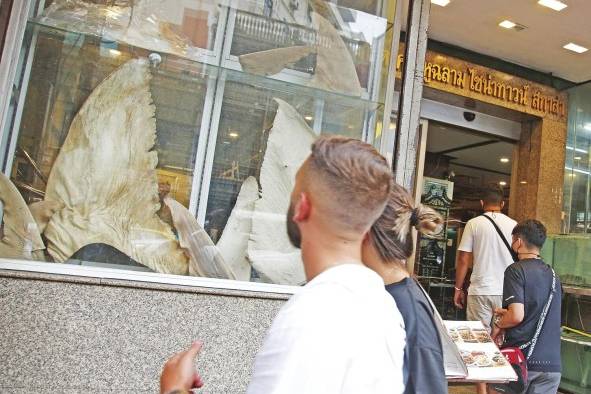 Si bien su consumo es especialmente popular en territorios chinos, la pesca, compra y venta de tiburones aún está legalizada en varios países. Si bien su consumo es especialmente popular en territorios chinos, la pesca, compra y venta de tiburones aún está legalizada en varios países.