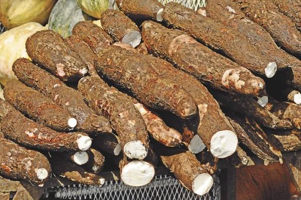 Se destinaron $10 millones al Ministerio de Desarrollo Agropecuario para apoyar a los pequeños productores. Se destinaron $10 millones al Ministerio de Desarrollo Agropecuario para apoyar a los pequeños productores.