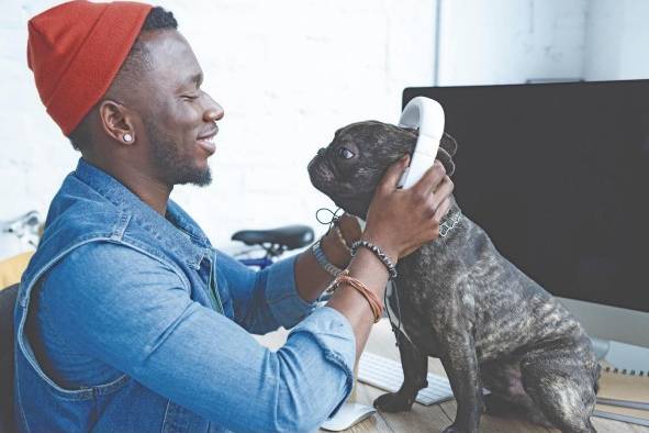 Ocho de cada diez personas afirman que a sus mascotas les gusta la música. Ocho de cada diez personas afirman que a sus mascotas les gusta la música.