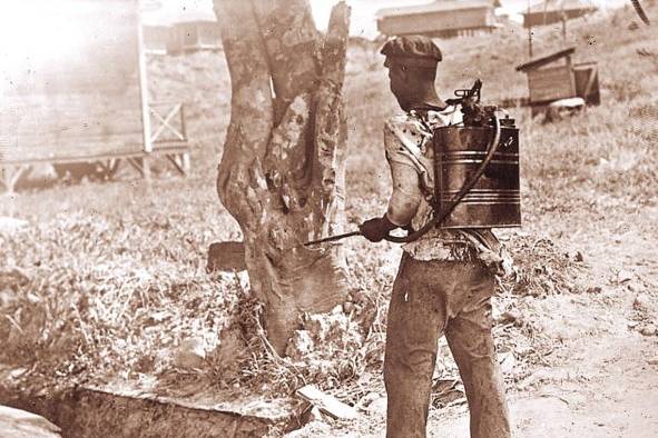 La labor de saneamiento de William Gorgas, en 1905, logró la construcción de un acueducto y alcantarillado en la ciudad. La labor de saneamiento de William Gorgas, en 1905, logró la construcción de un acueducto y alcantarillado en la ciudad.