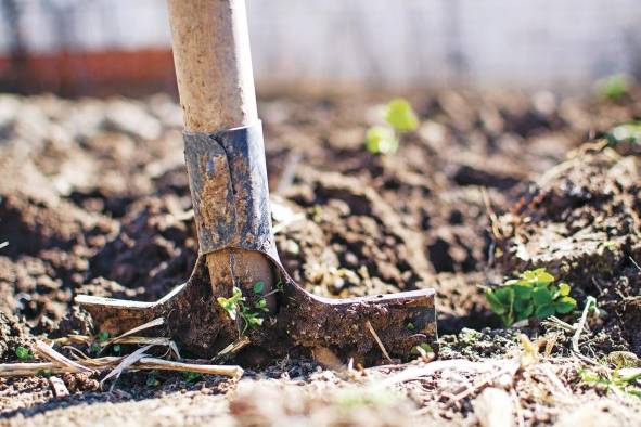 Las mejoras al utilizar en el agro conocimiento basado en evidencias científicas traen como consecuencia las adaptaciones de cultivos de acuerdo con necesidades específicas de cantidad de agua. Las mejoras al utilizar en el agro conocimiento basado en evidencias científicas traen como consecuencia las adaptaciones de cultivos de acuerdo con necesidades específicas de cantidad de agua.