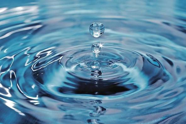 El consumo del agua es vital para la supervivencia del ser humano. El consumo del agua es vital para la supervivencia del ser humano.
