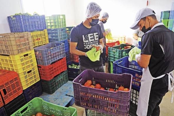 Trabajadores limpian los productos en el centro de acopio Donlap. Trabajadores limpian los productos en el centro de acopio Donlap.
