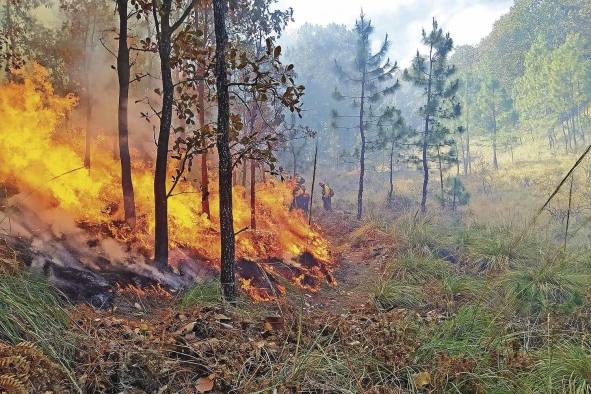 El cambio climático y los desastres ambientales más impactantes de 2021 El cambio climático y los desastres ambientales más impactantes de 2021