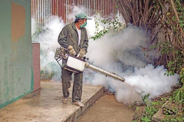 La nebulización solo elimina al mosquito adulto. La nebulización solo elimina al mosquito adulto.