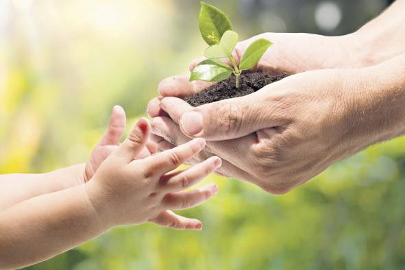 La forestación, un tema de conciencia ambiental La forestación, un tema de conciencia ambiental